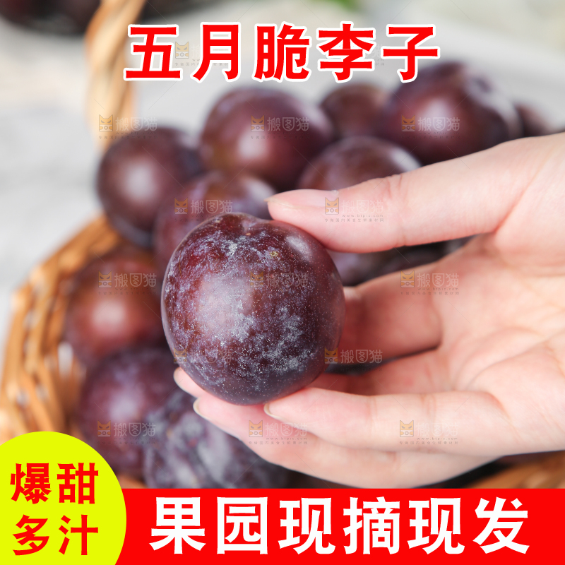手上拿着凤凰李