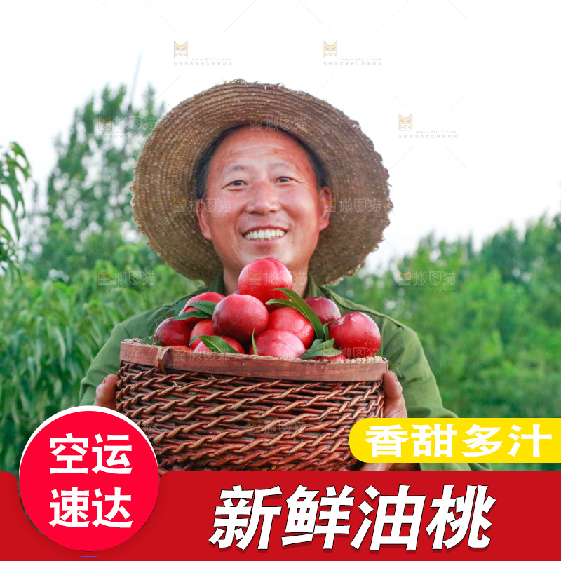 农民手上端着一筐红油桃