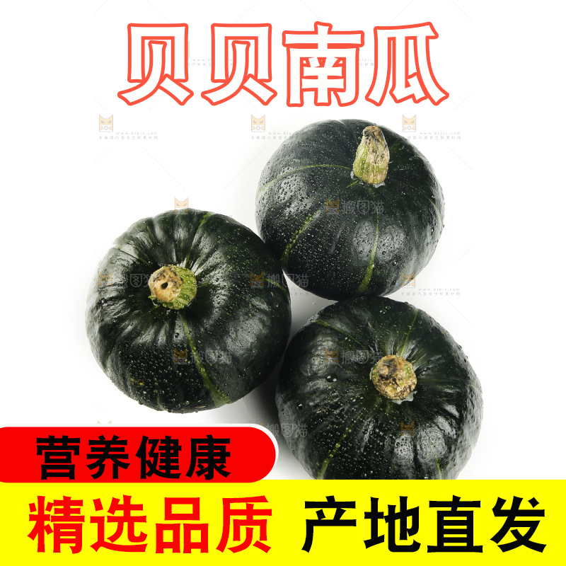 白底上放着贝贝南瓜