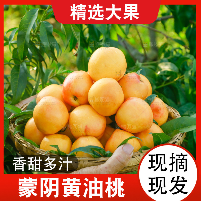农民手上端着一筐黄油桃