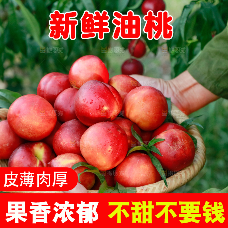 农民手上抱着一筐红油桃