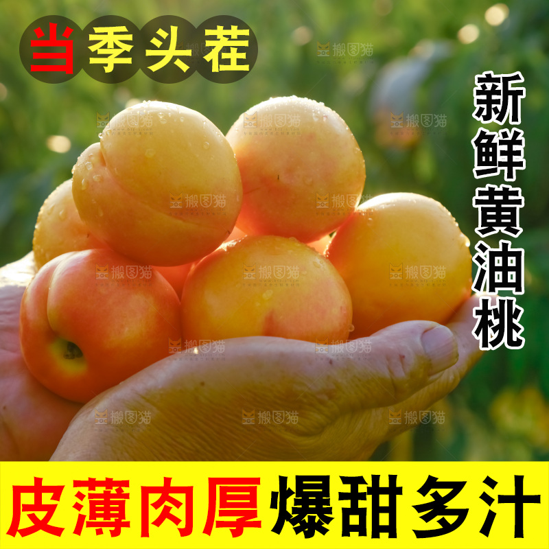 手上捧着一堆黄油桃