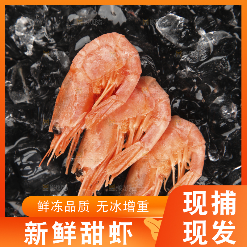 黑底上放着北极甜虾