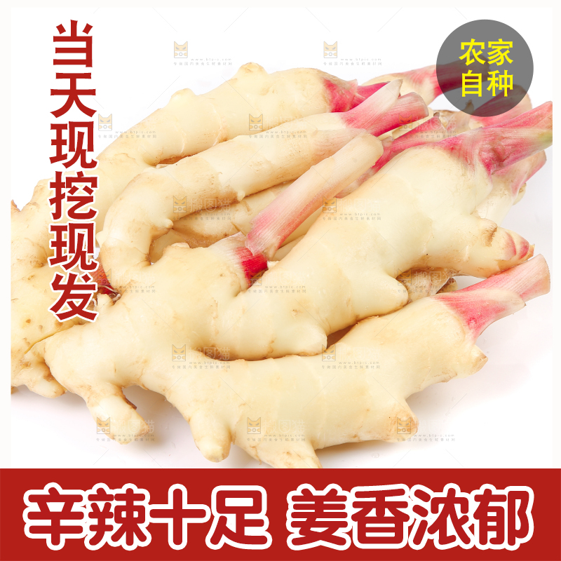 白底上放着红芽嫩姜