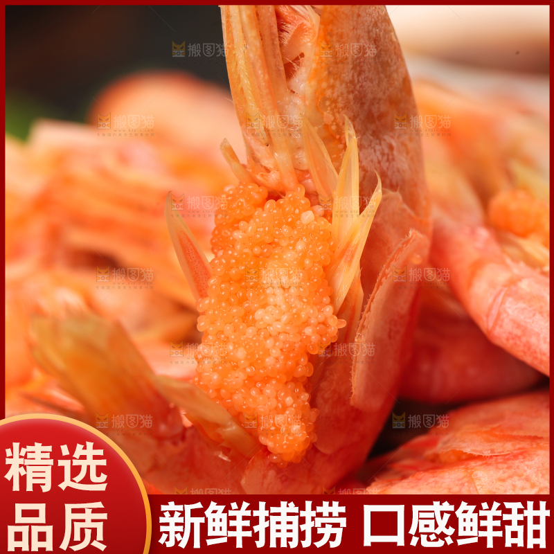 新鲜的北极甜虾