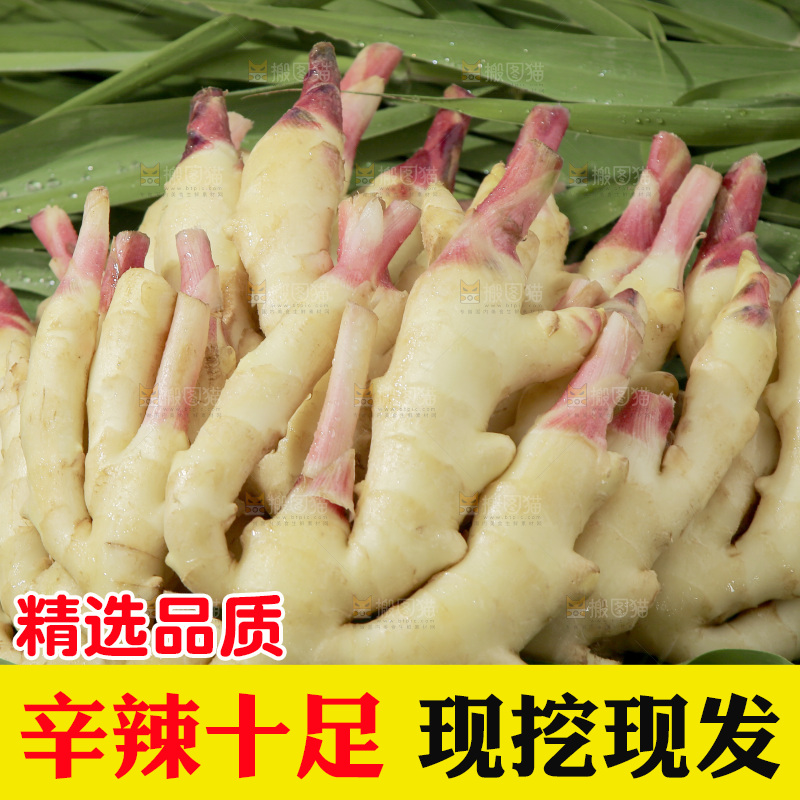 绿草上放着一堆红芽嫩姜