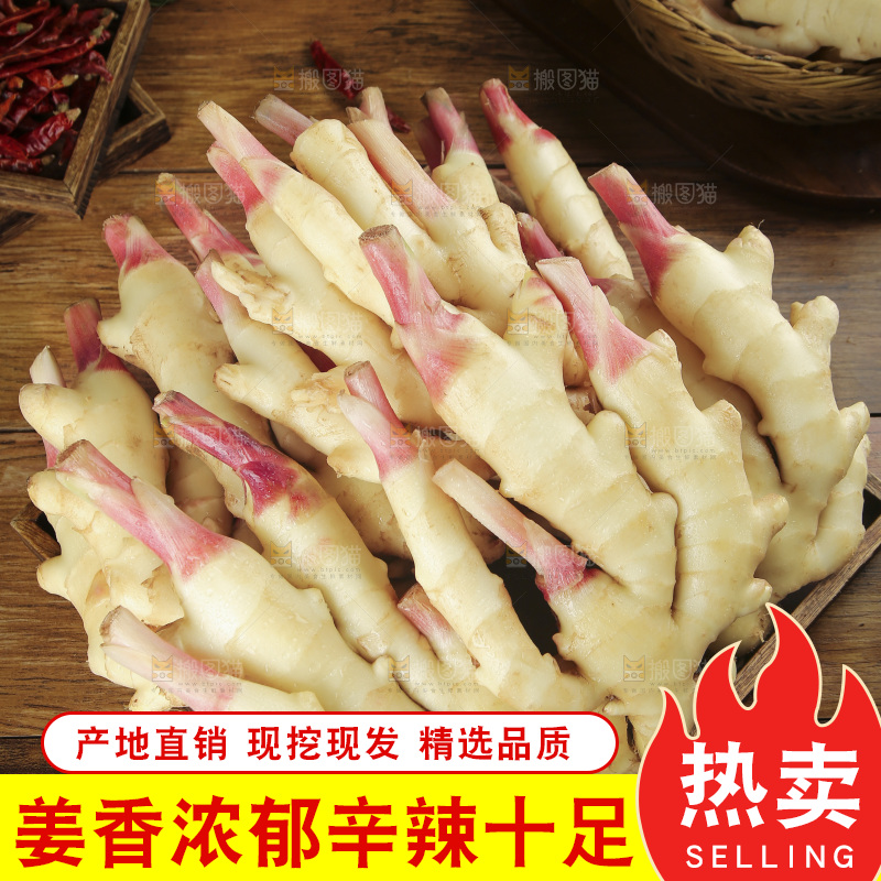 木板上放着山东嫩姜