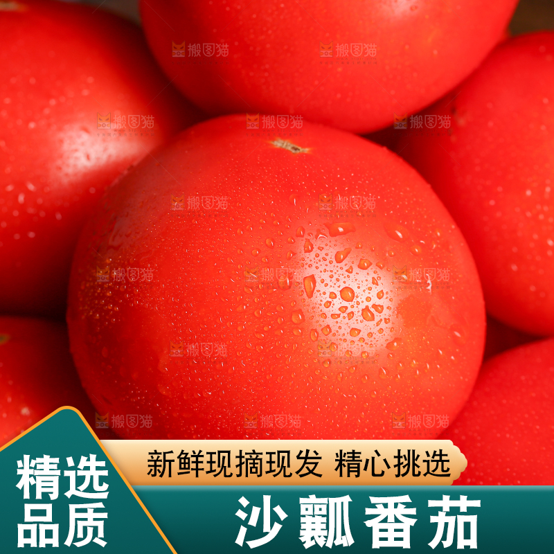 一堆沙瓤西红柿