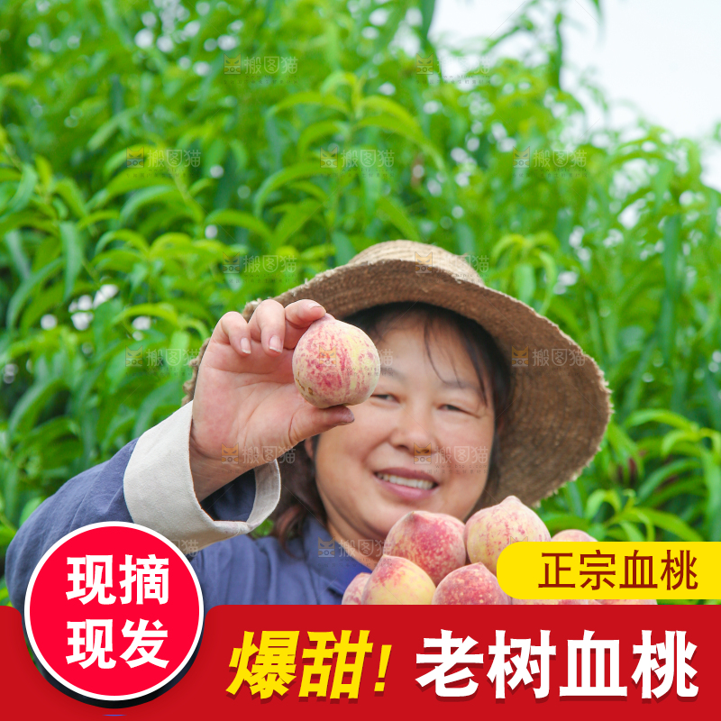 农民手上提着一筐胭脂红