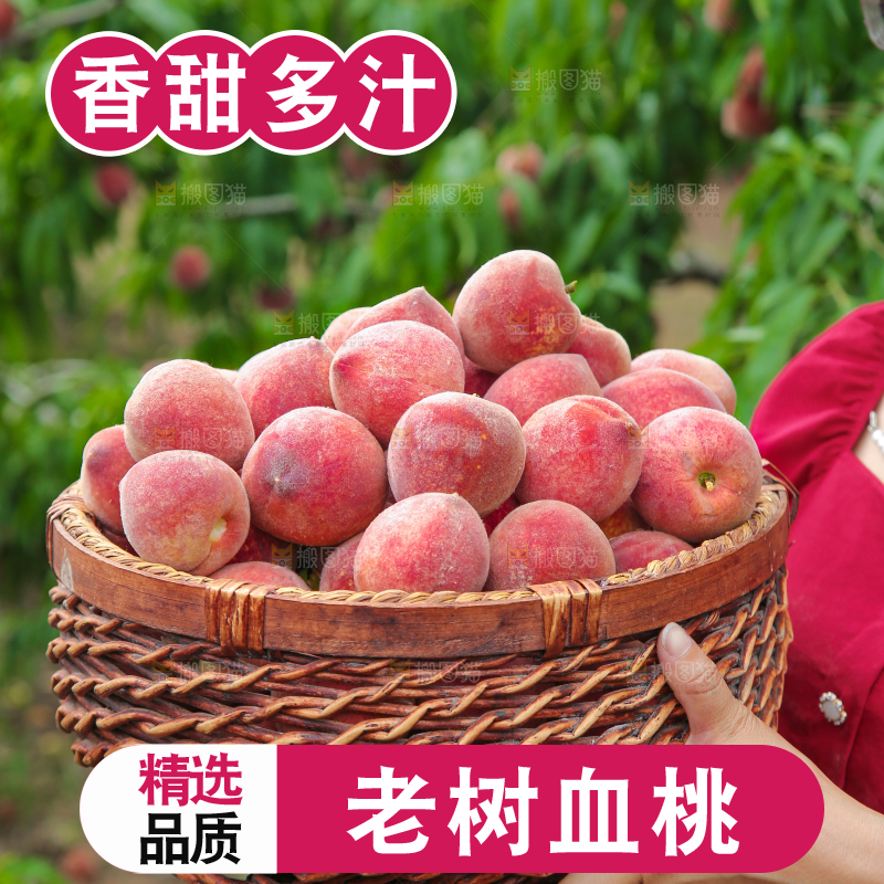 手上抱着一筐胭脂红桃子