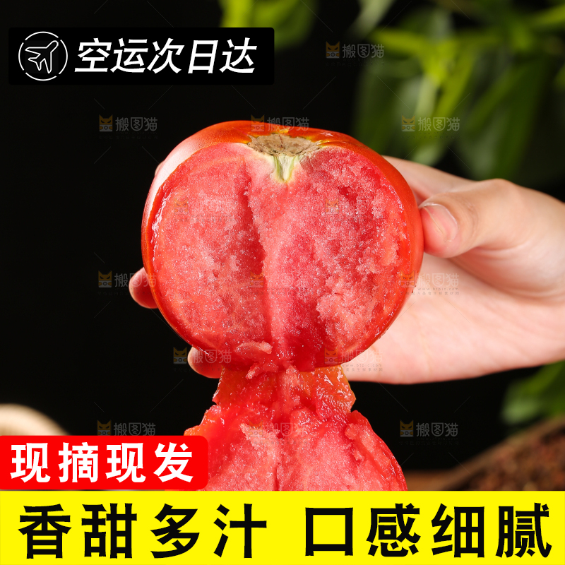 手上拿着沙瓤西红柿