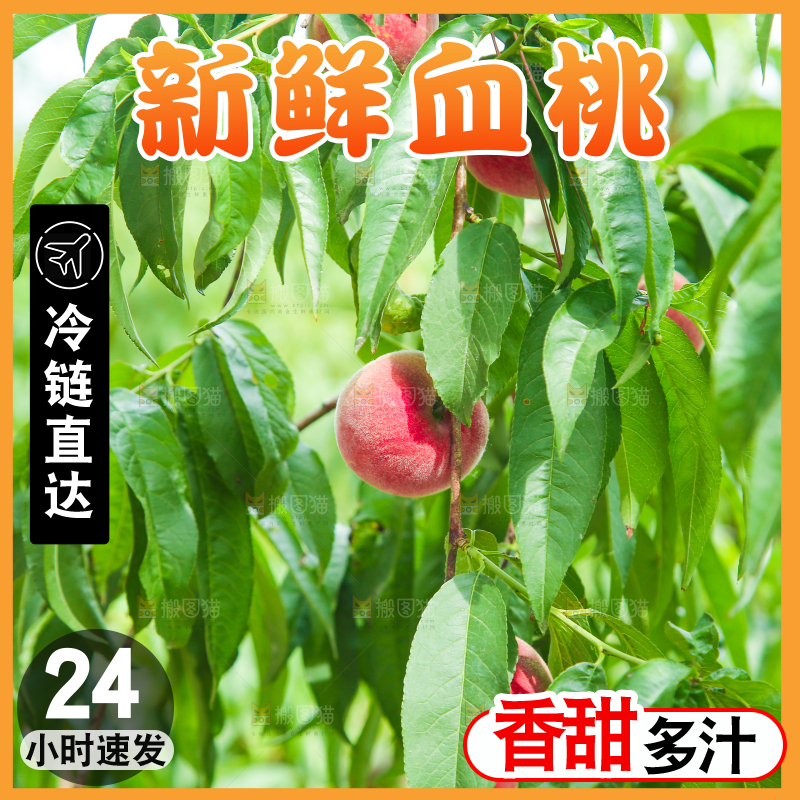 一片胭脂红桃子林