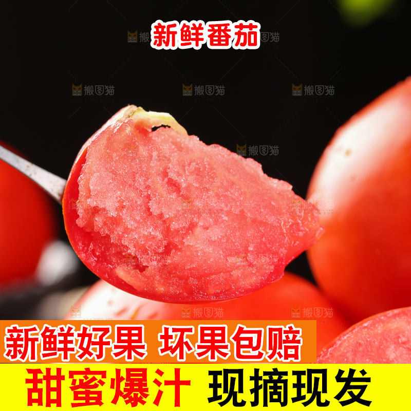 叉子上叉着的普罗旺斯西红柿