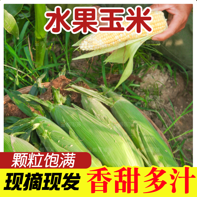 手上拿着糯玉米