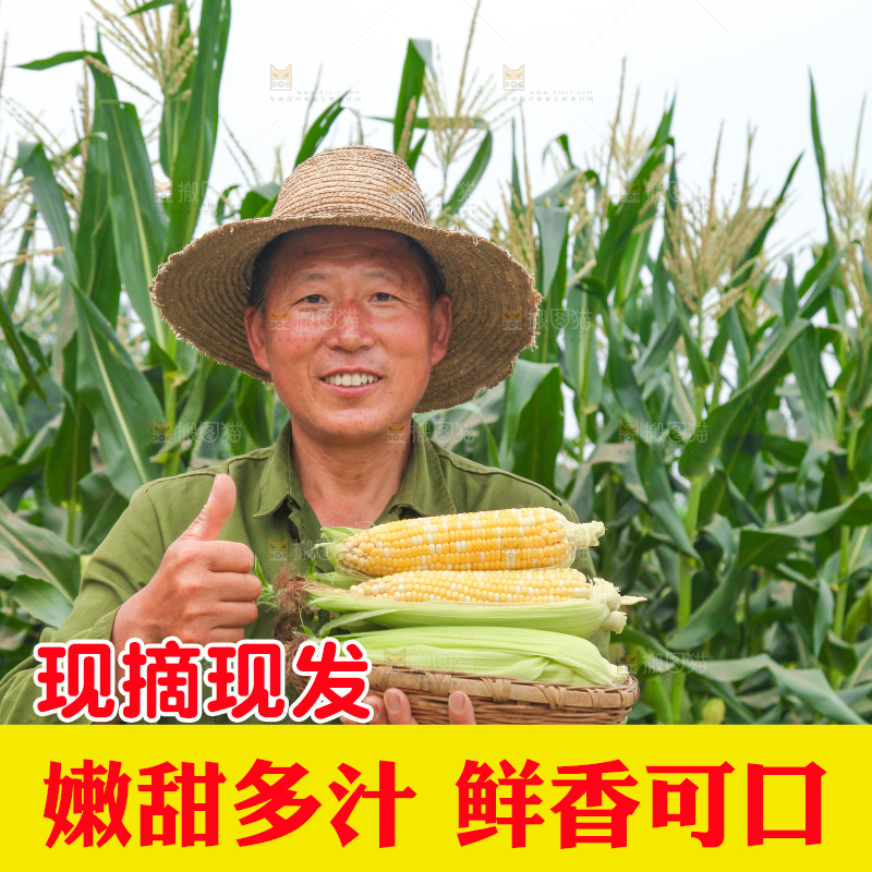 农民手上抱着一篮水果玉米