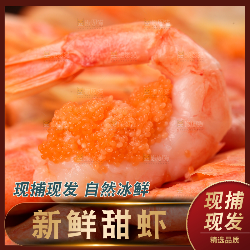 新鲜的北极甜虾