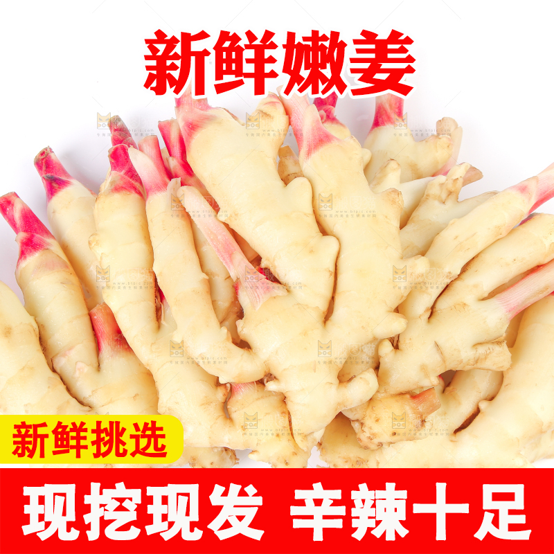 白底上放着一堆嫩姜芽