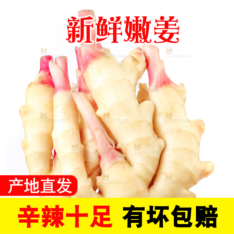 手上拿着嫩姜