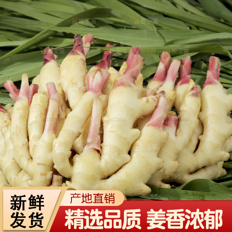 绿草上放着一堆红芽嫩姜