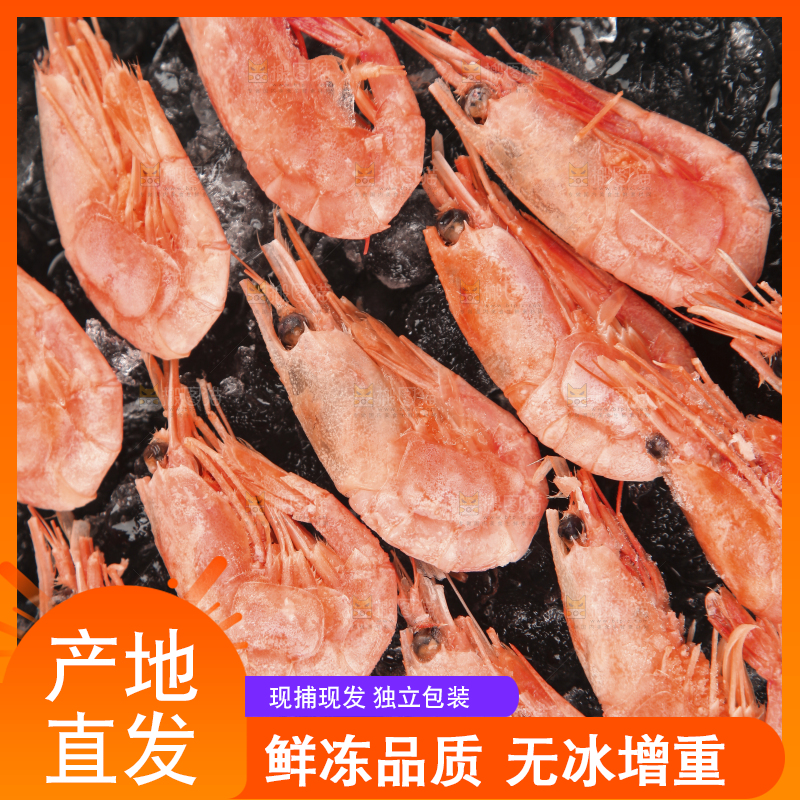 黑底上放着一堆北极甜虾
