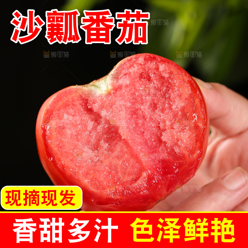 手上拿着沙瓤西红柿