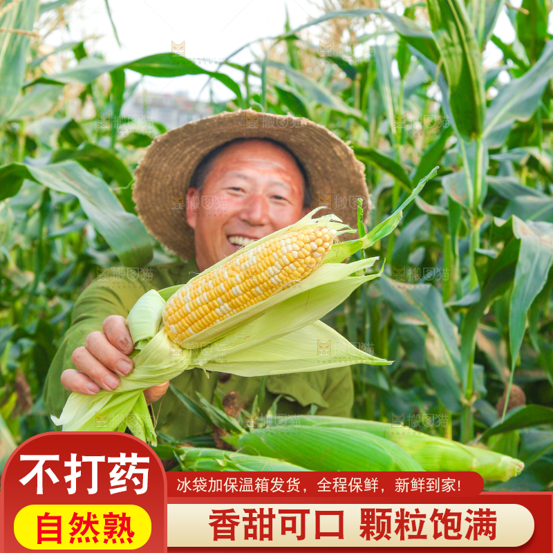 手上拿着水果玉米