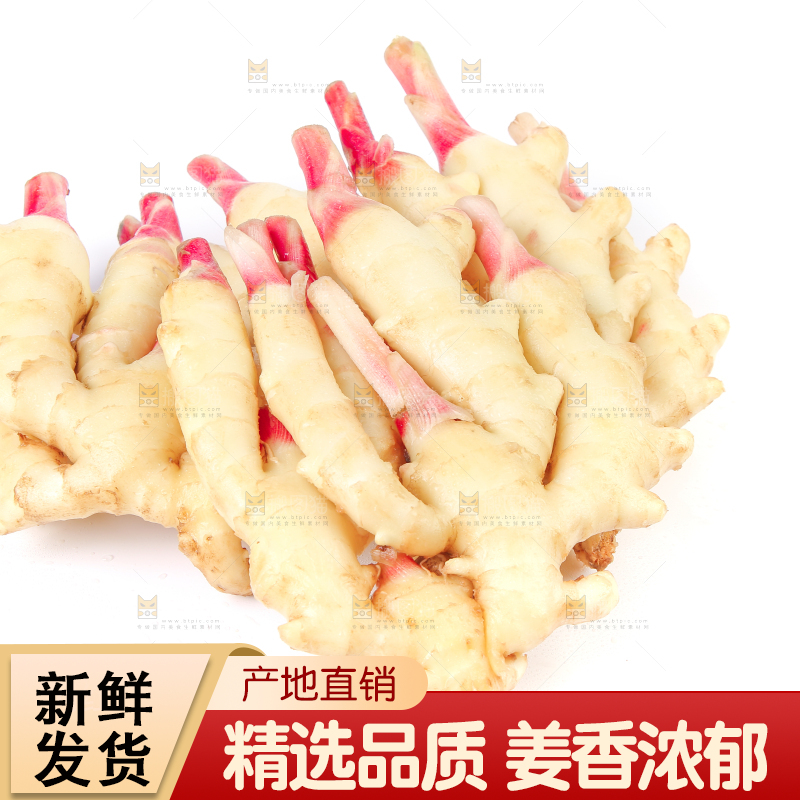 白底上放着一堆嫩姜芽