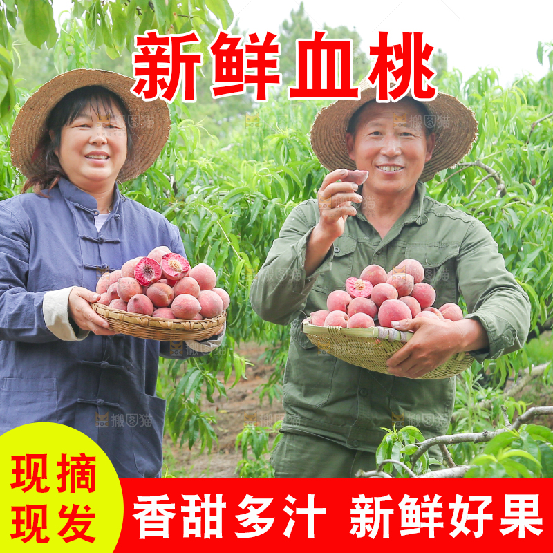 农民手上抱着一篮血桃