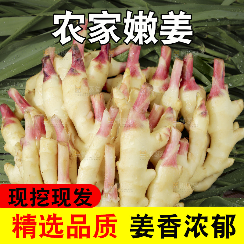 绿草上放着一堆红芽嫩姜