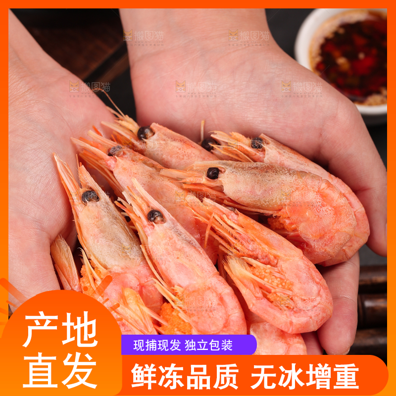 手上放着北极甜虾