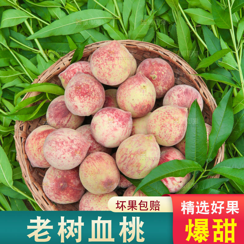 篮子里放满胭脂红