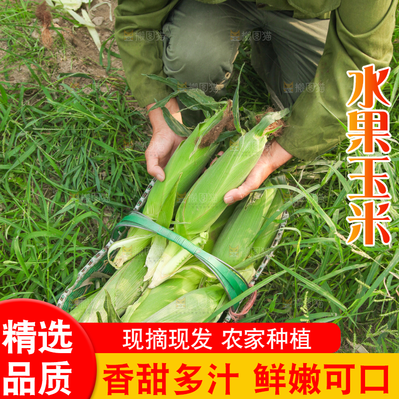 地上放着水果玉米