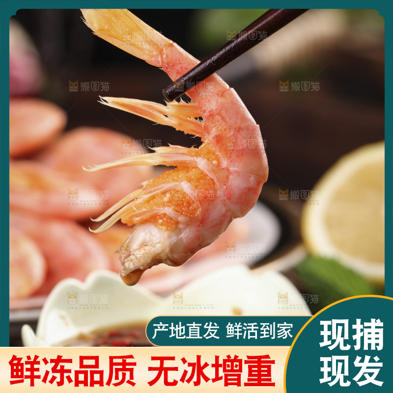 筷子上夹着北极甜虾