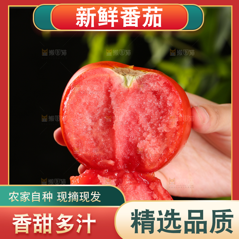 手上拿着沙瓤西红柿