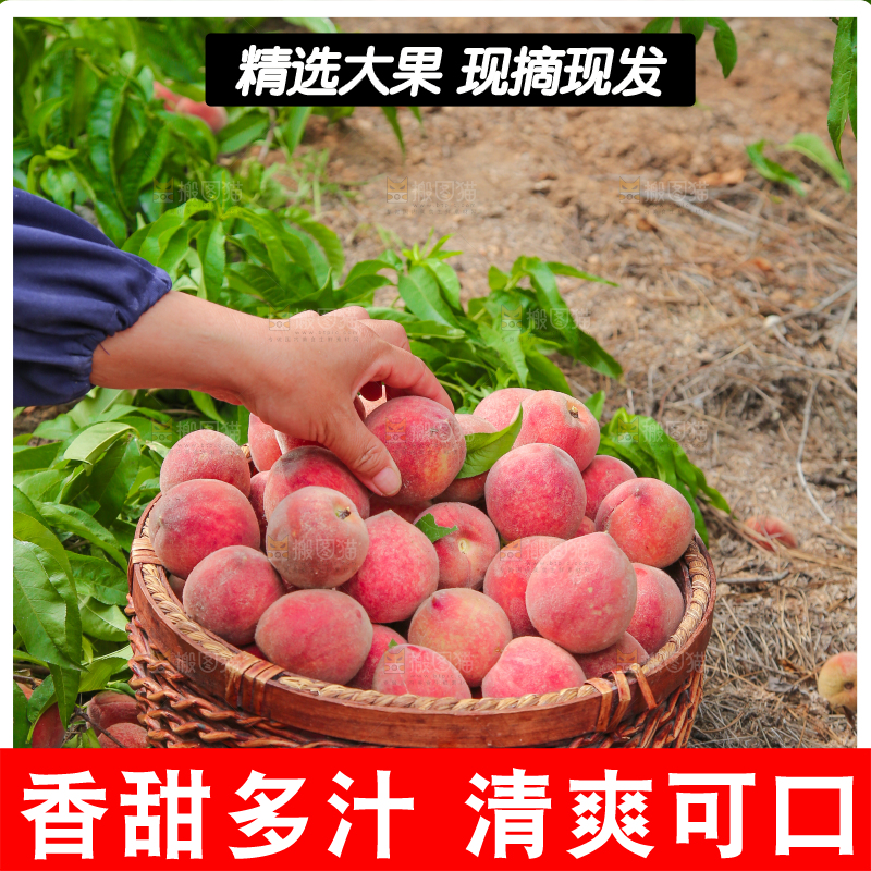篮子里放满血桃