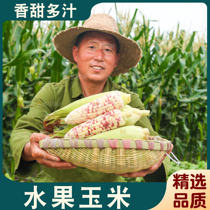 手上端着一筐甜糯玉米