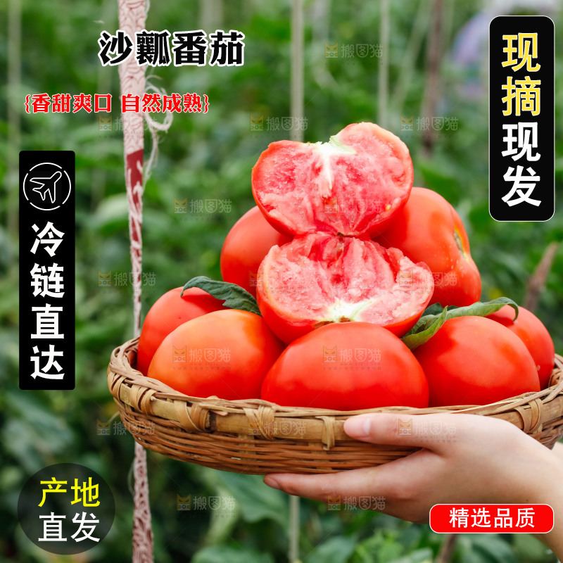 手上端着一篮沙瓤西红柿