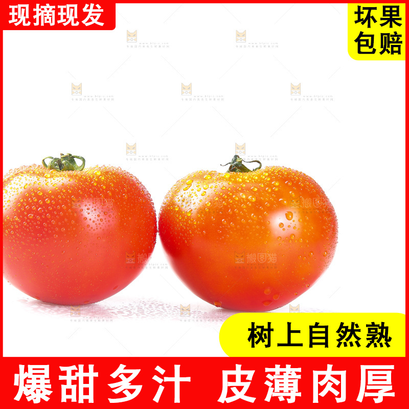 白底上放着西红柿