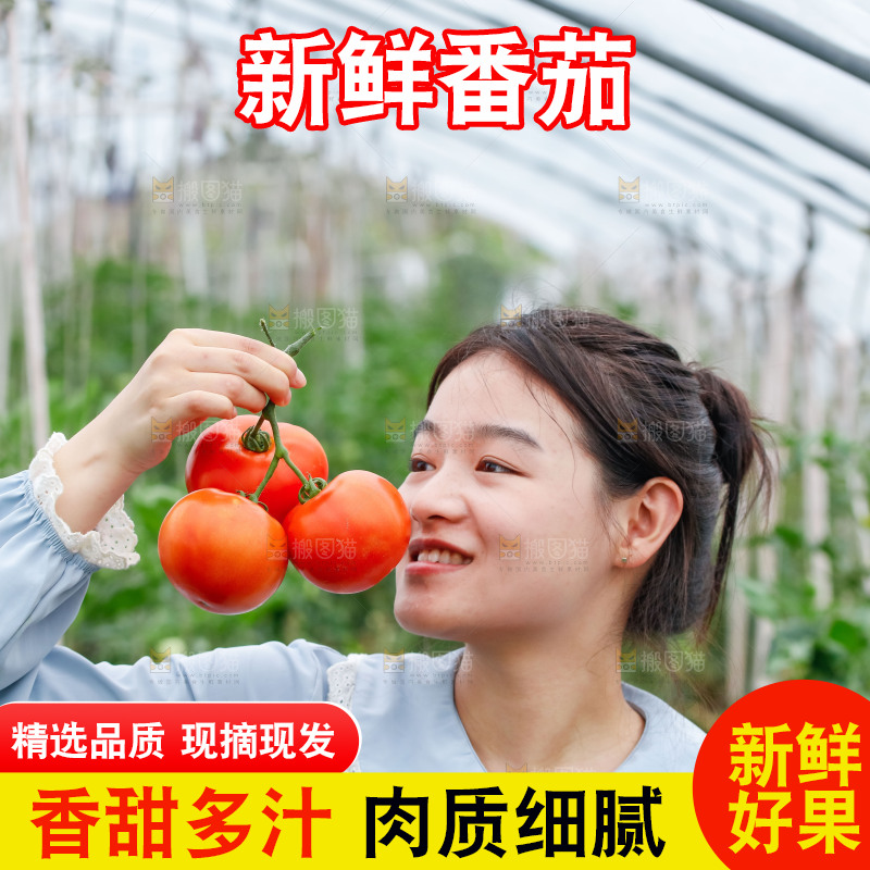 女孩手上拿着沙瓤西红柿