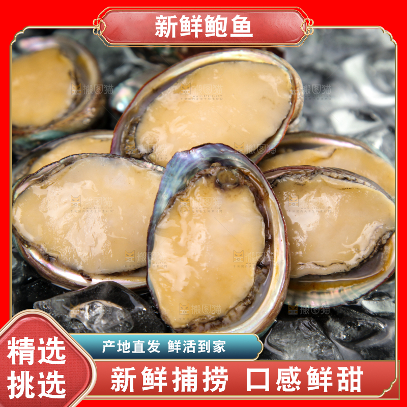 黑底上放着鲍鱼