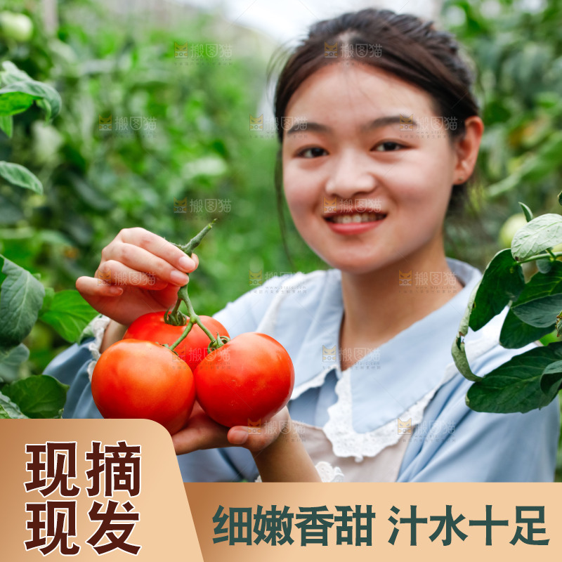 女孩手上拿着沙瓤西红柿
