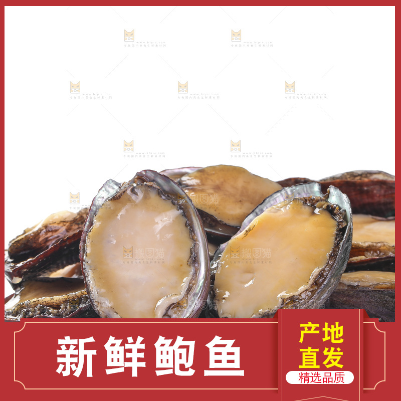 白底上放着一堆鲍鱼