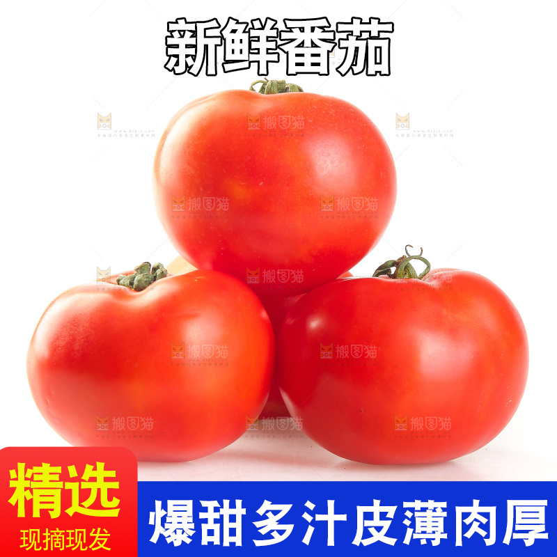 白底上放着西红柿