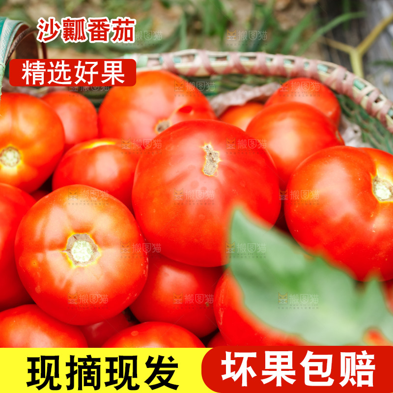 筐子里放着西红柿