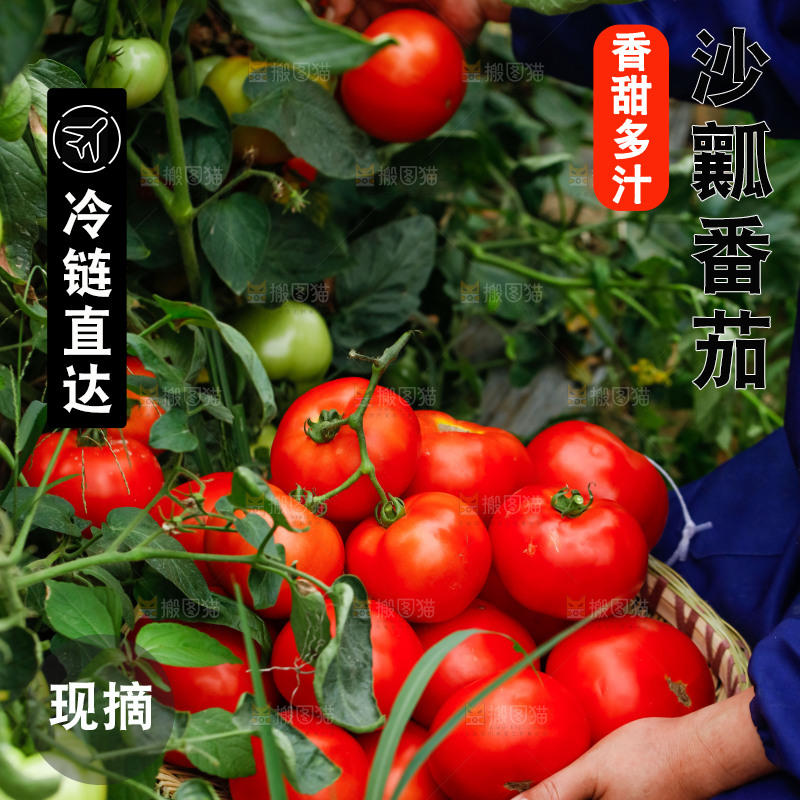 手上端着一篮西红柿