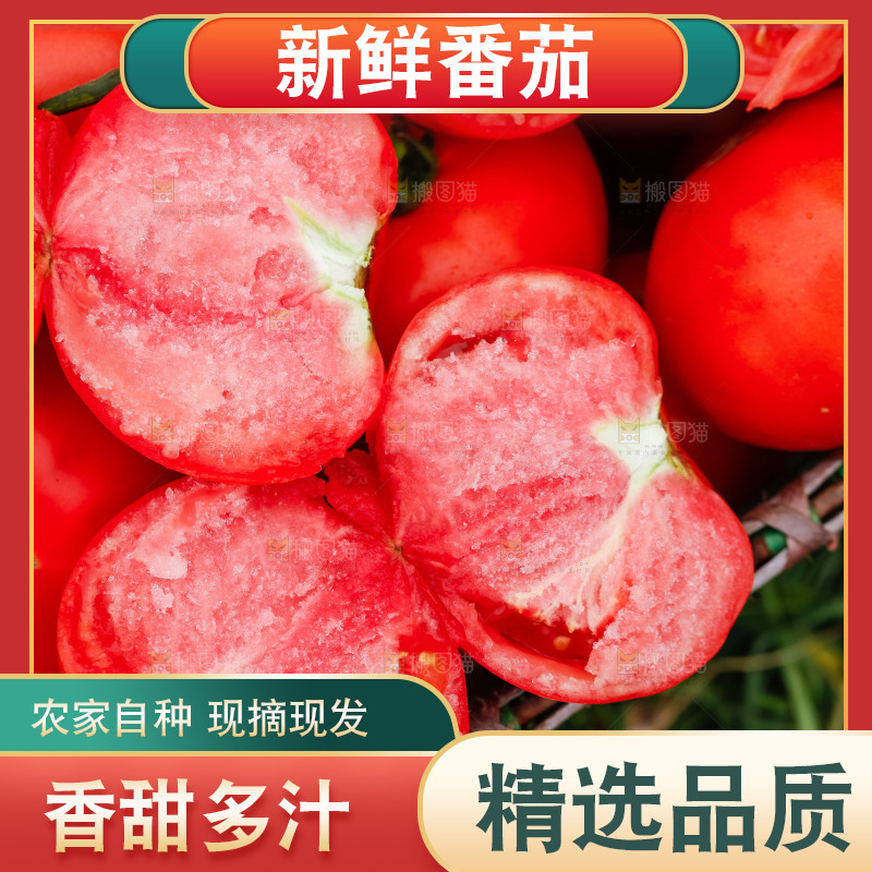 篮子里放着一堆沙瓤西红柿