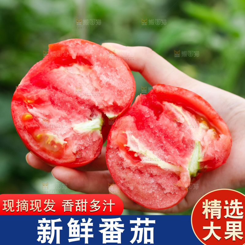 手上拿着沙瓤西红柿