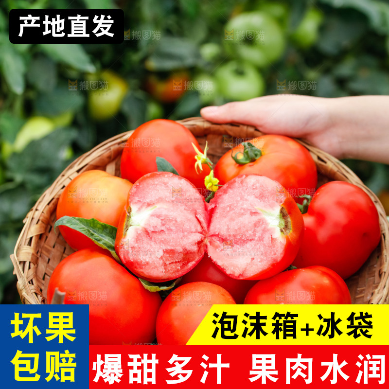 手端着一筐沙瓤西红柿