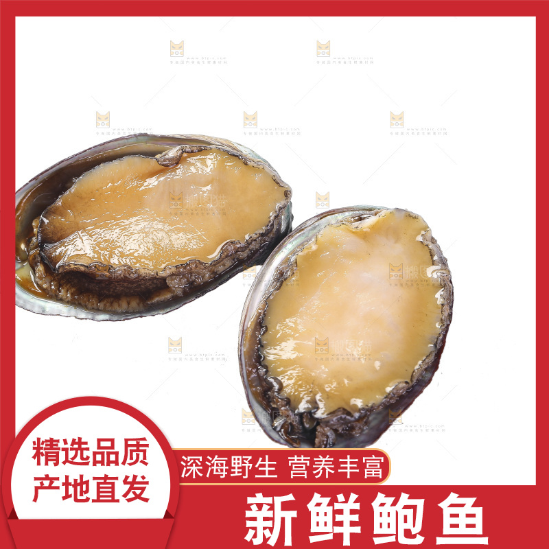白底上放着鲍鱼