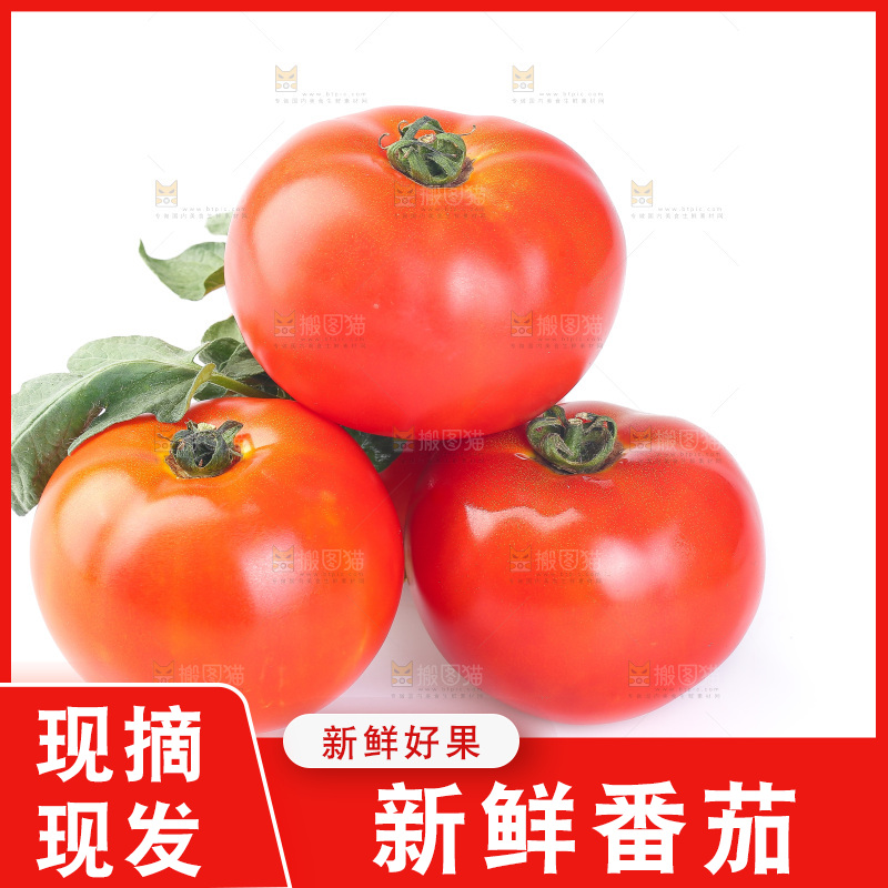 白底上放着一堆番茄